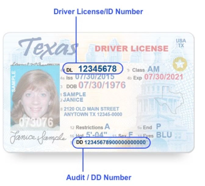 Picture showing your 20 Digit Audit number in obtaining your Driving Record.